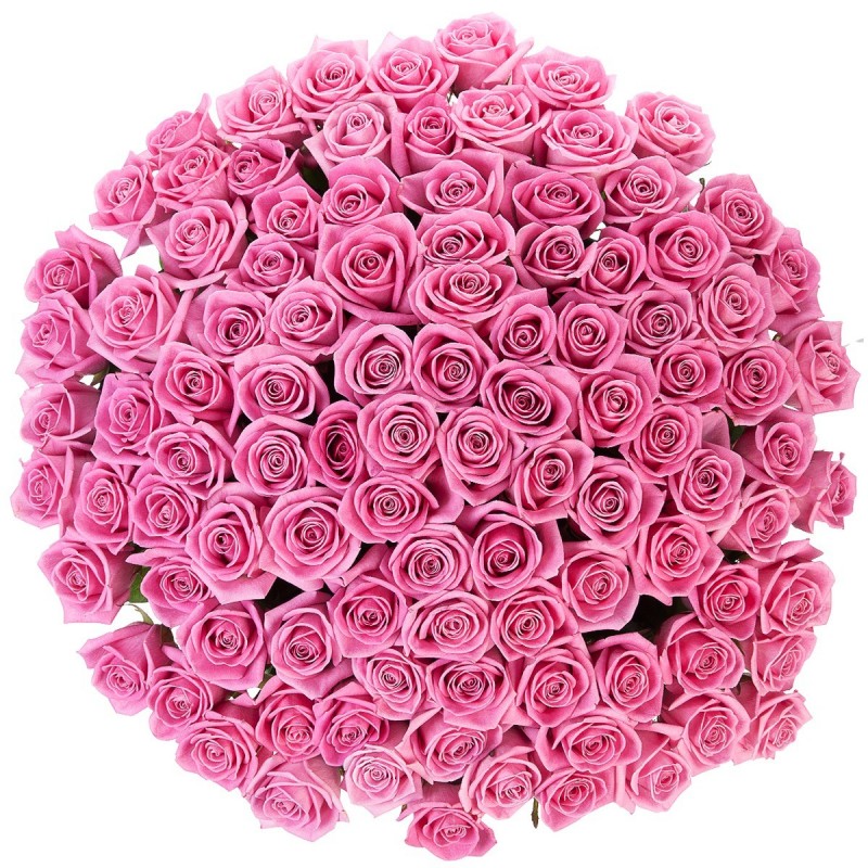 купить цветы Букет из розовых роз